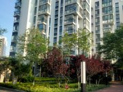 教授花园碧山临海西区(1-3,5-8)