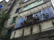 武阳中路244号院