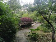 金秋乐园(二期)