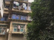 观水路149号小区