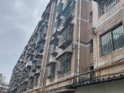 白云南路491号小区