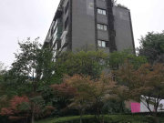 中天帝景传说(A区)