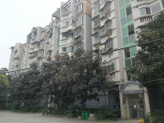 楠竹花园雅竹居