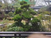 龙湖景粼天著望川