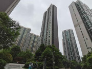 中天会展城A9组团