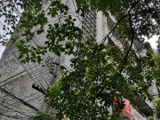 威清路134号小区