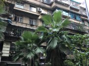 贵州省林业调查规划院宿舍