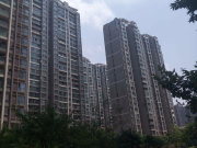 金阳世纪城龙凯苑东区