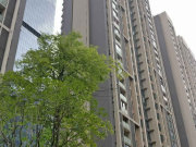 中天会展城B区B4组团