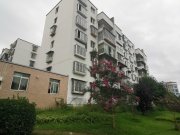 扎佐林场家属区