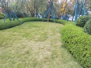 碧桂园西南上城博士府