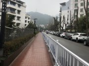 中天花园阳光玉兰