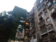 曹状元街20号院