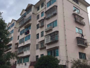 乐街小区茶花园