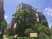 恒大中央公园(BC区)