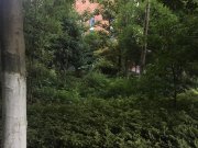 金龙星岛国际(别墅)