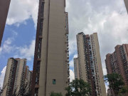 中天未来方舟H1组团