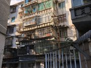 观水路239号小区