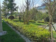 贵高速花溪26度