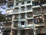 箭道南巷3号小区(箭道街157号)