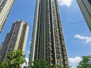 恒大中央公园(D区)