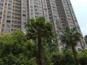 大兴星城多伦多