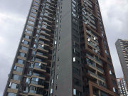 中天未来方舟H3组团