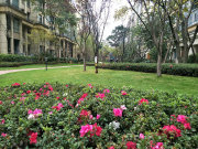 恒大中央公园(A区别墅)