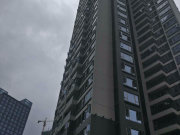 中天未来方舟D7组团