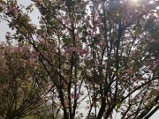 青秀2046(商住楼)