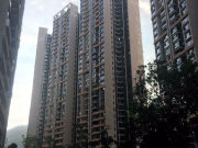 中天未来方舟F4组团