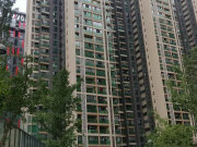 中天会展城A7组团