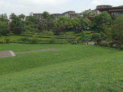 阅山湖阅山别院D组团乐府