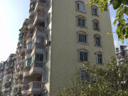 乐街小区樱花园