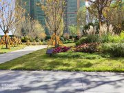 青秀2046曲水流园