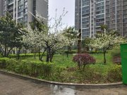 华润国际社区(A区)