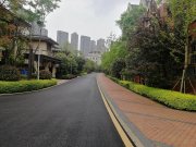 广大丽城耀镜一组团(别墅)