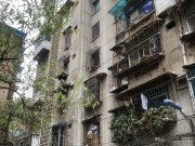 新添大道南段130号小区