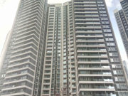 中天未来方舟D11组团