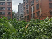 贵安花园(白云)