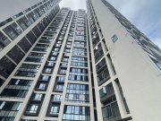 中天未来方舟F10组团