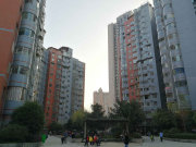 天馨家园(三期)