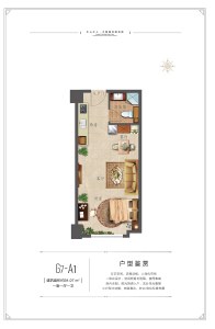 1室1厅1卫 商业类 在售