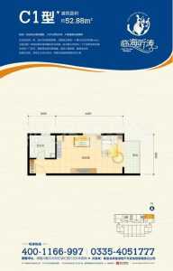 1室1厅1卫 酒店式公寓 在售