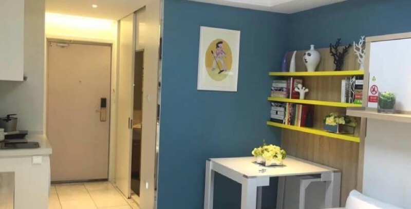 1室1厅1卫 酒店式公寓 在售户型图