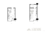 1室1厅1卫 商业类 在售