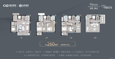 4室2厅5卫 别墅 在售
