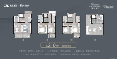 4室2厅5卫 别墅 在售