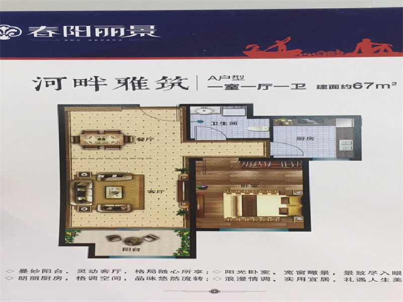 1室1厅1卫 住宅 售罄户型图