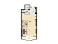 1室1厅1卫 商业类 售罄